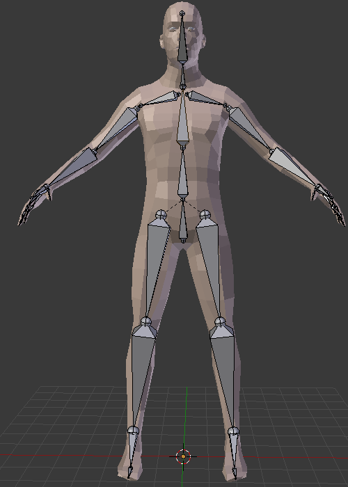 Skeleton Rig